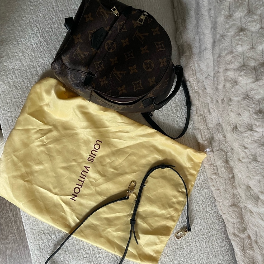 LV Inspired Palm Springs Bag